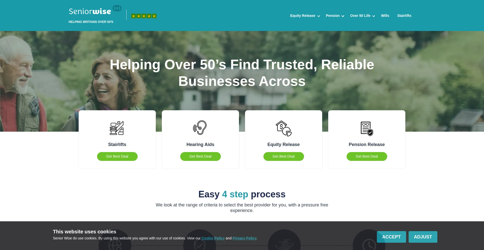 Website screenshot of Seniorwise.co.uk
