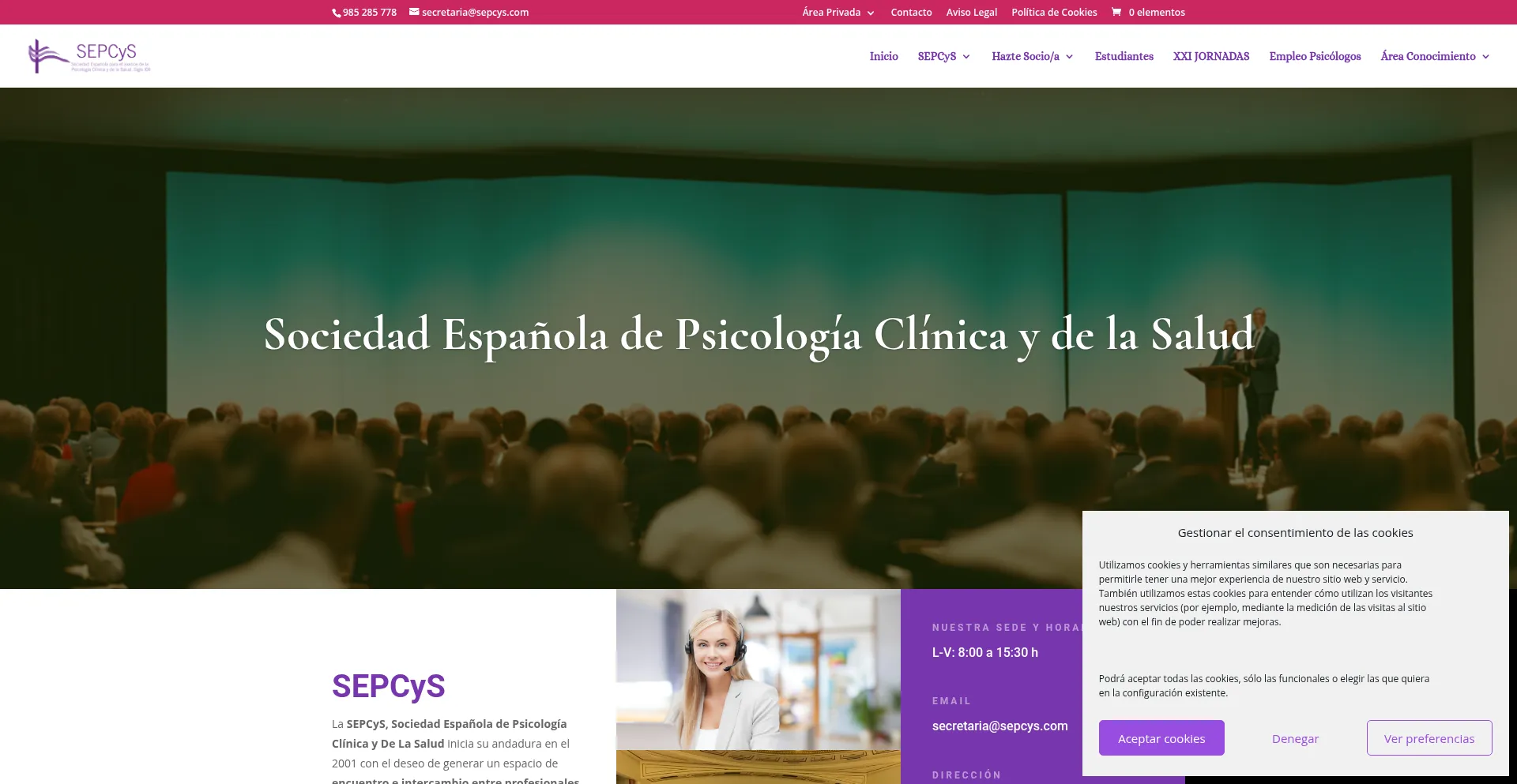 Website screenshot of Sepcys.com