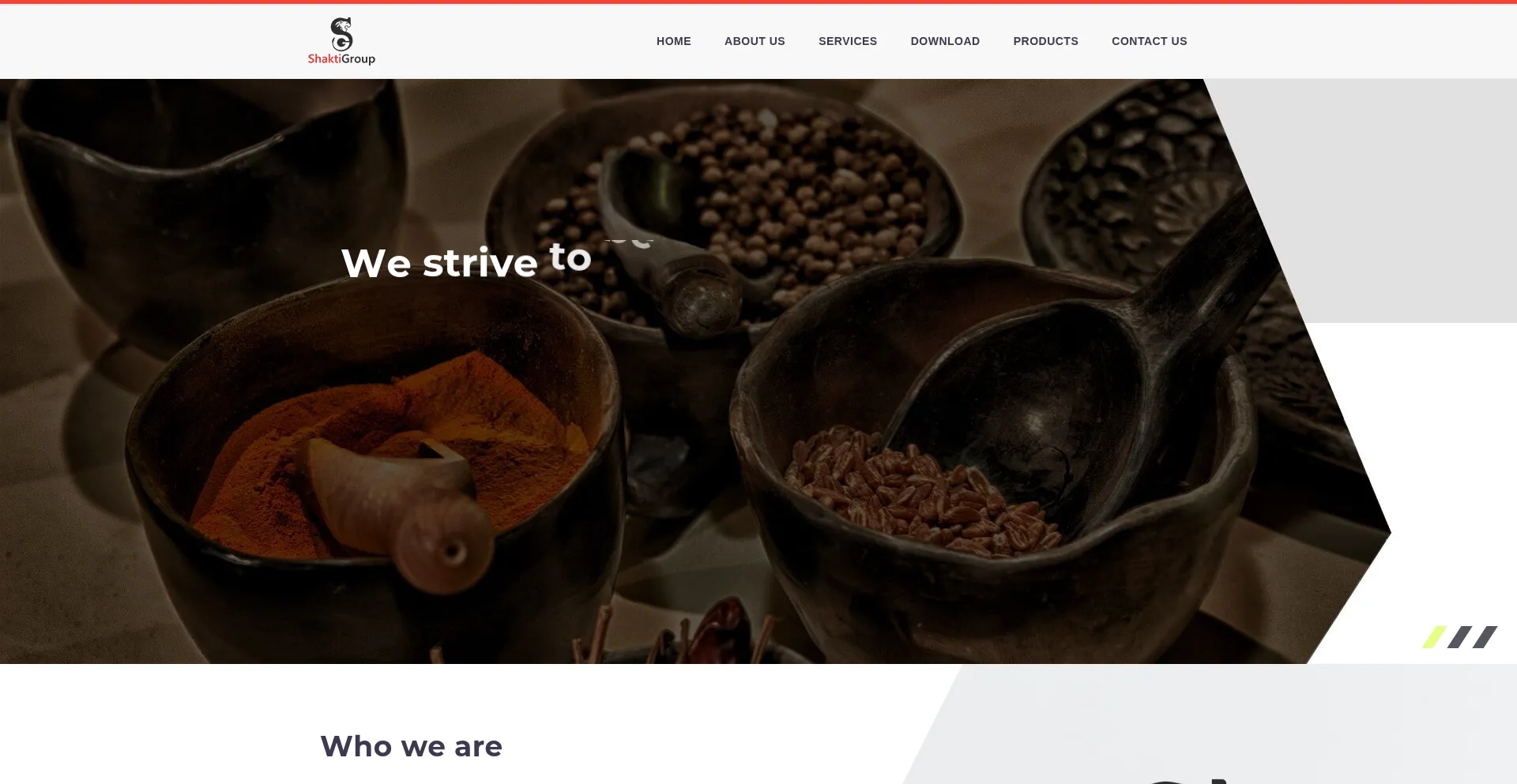 Shaktigroupusa.com