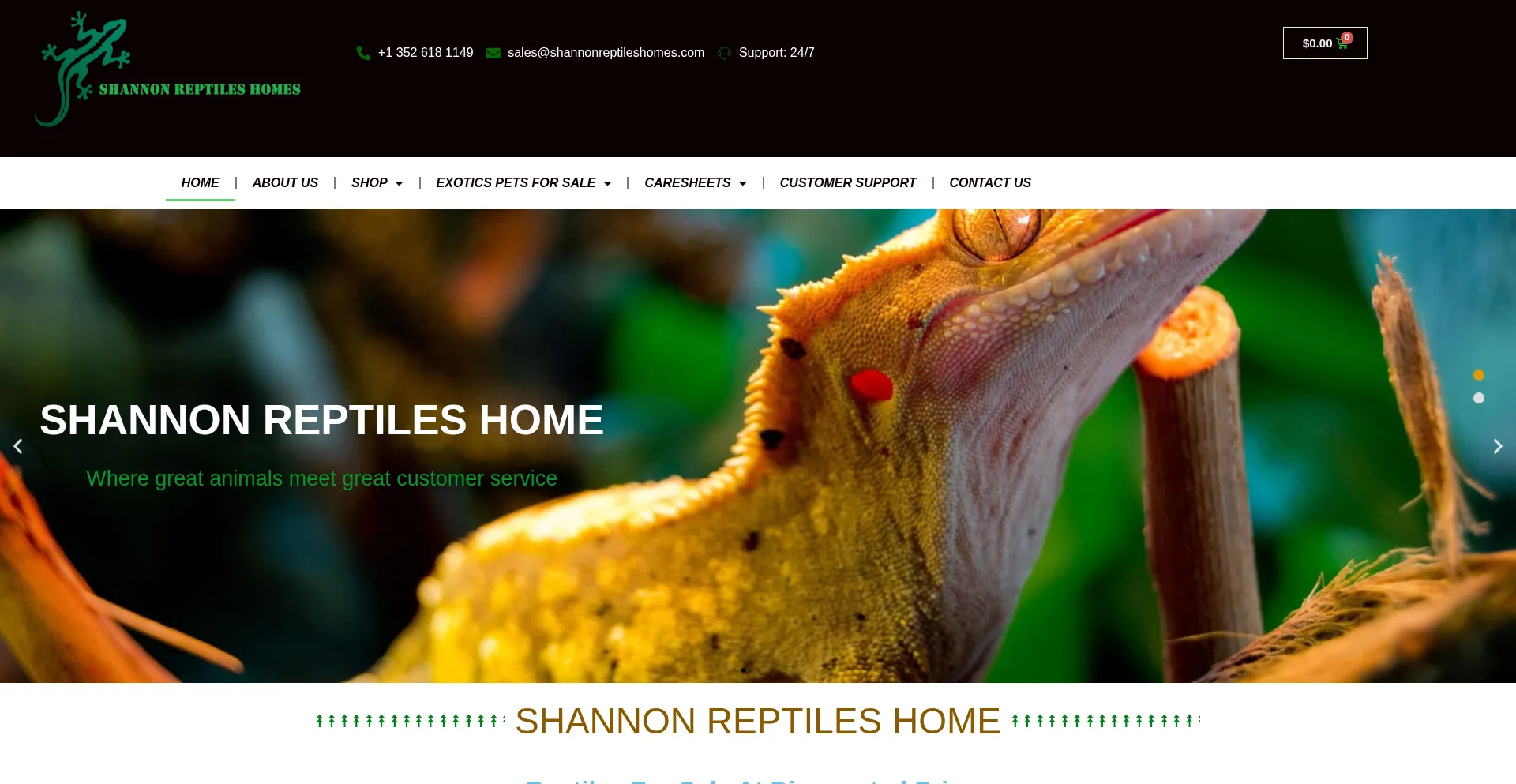 Shannonreptileshomes.com Screenshot