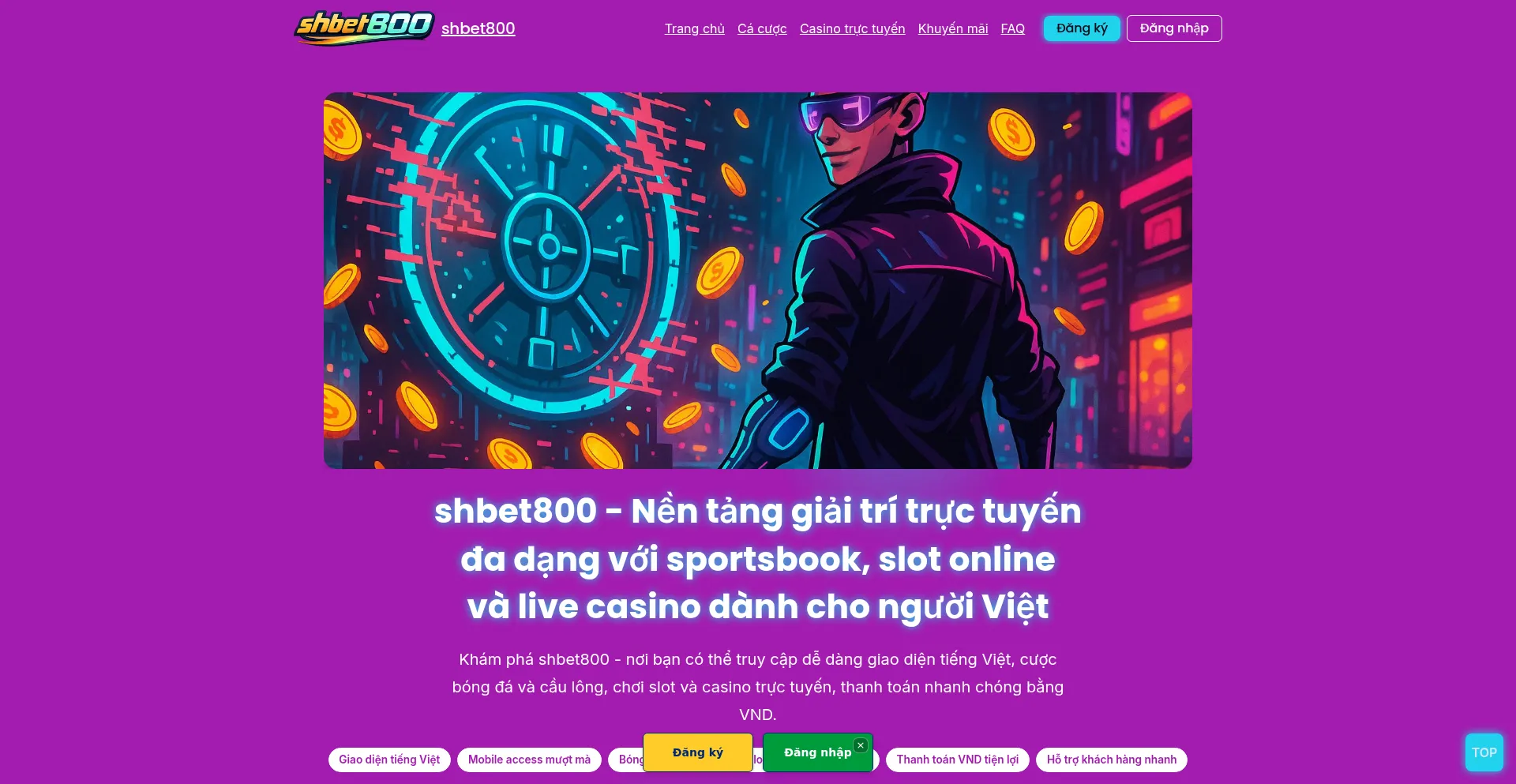Shbet800.biz