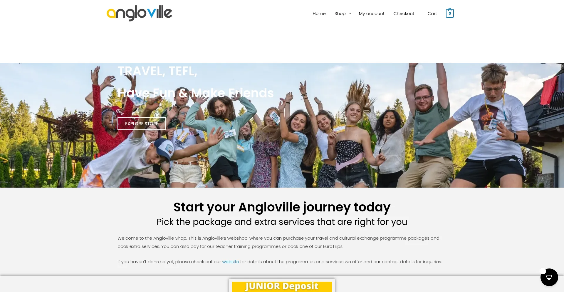 Website screenshot of Shop.angloville.com
