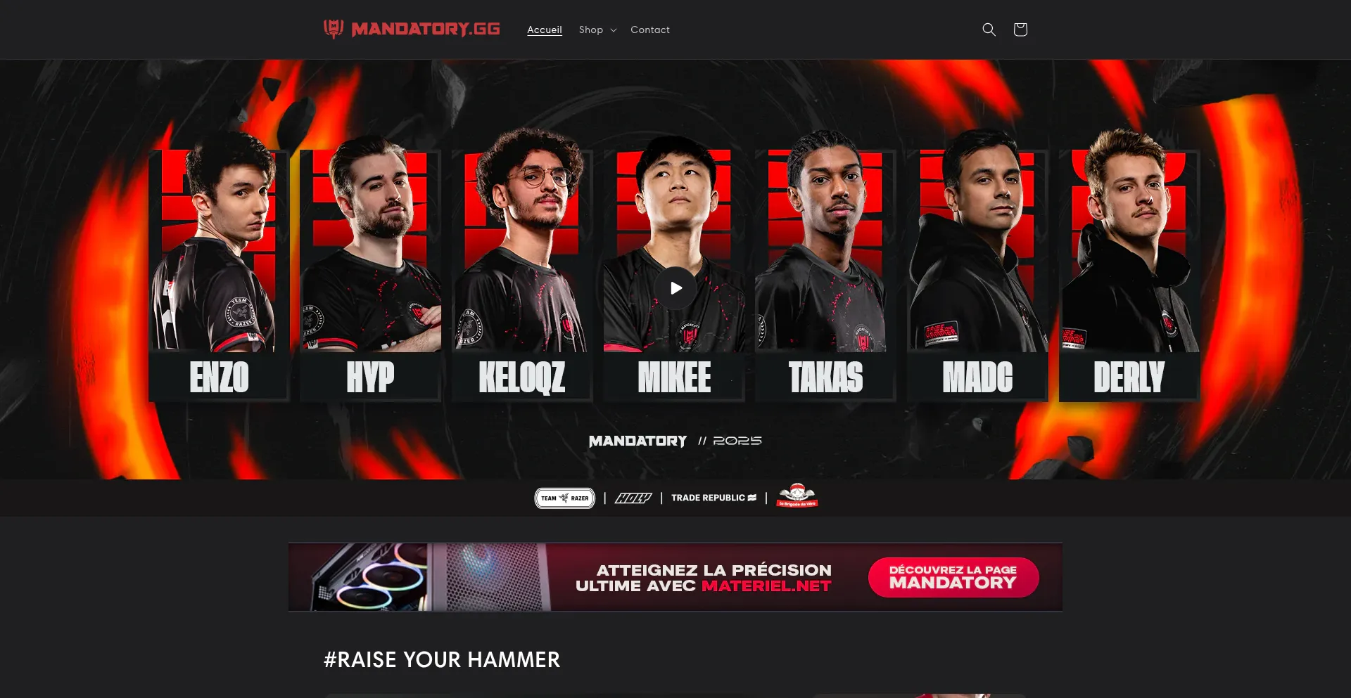 Website screenshot of Shop.mandatory.gg