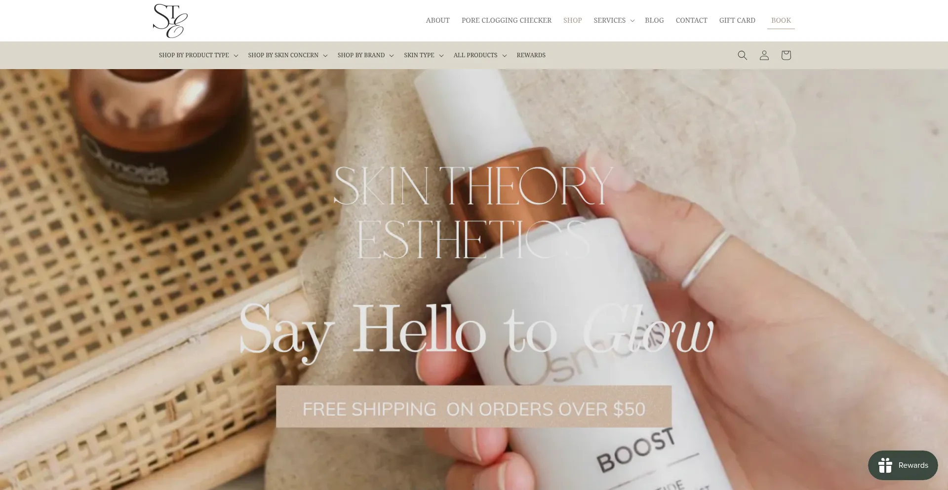 Website screenshot of Shop.skintheoryesthetics.com