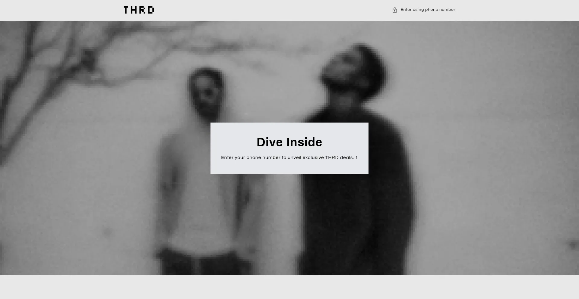 Website screenshot of Shop.thrd.store
