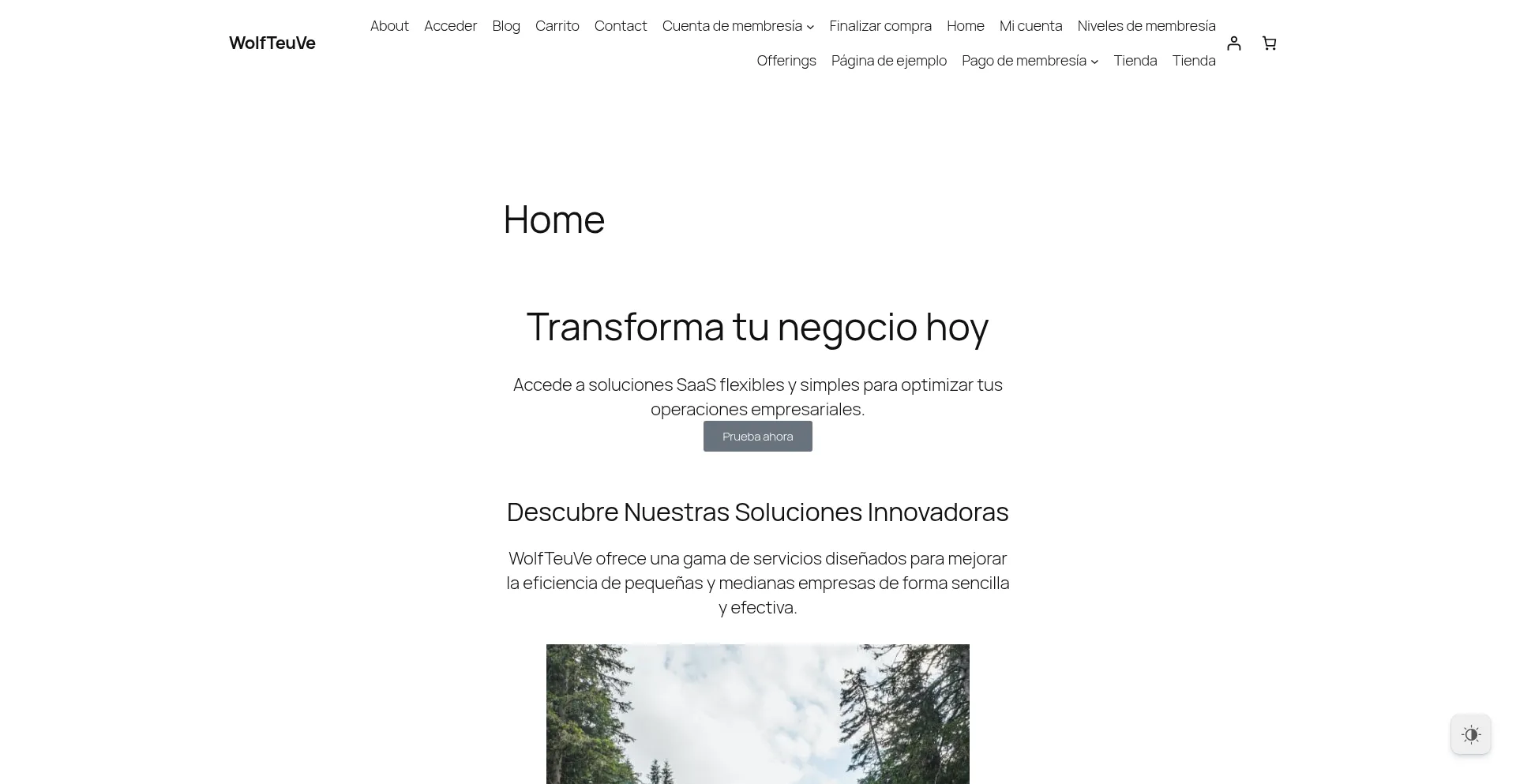 Website screenshot of Shop.wolfteuve.com