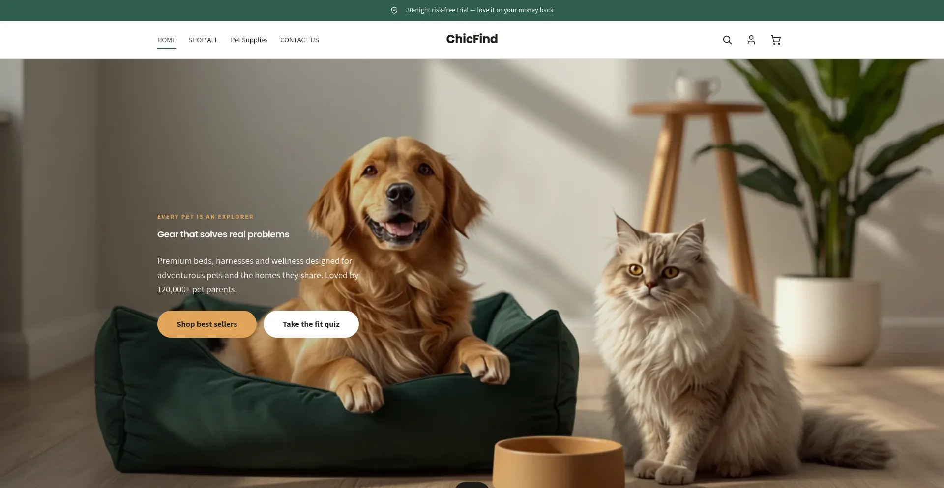Shopchicfind.com