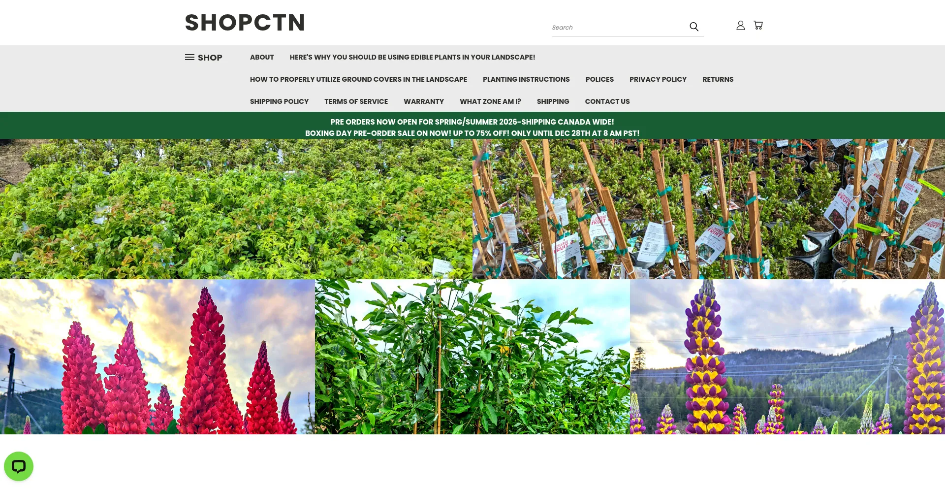 Shopctn.com