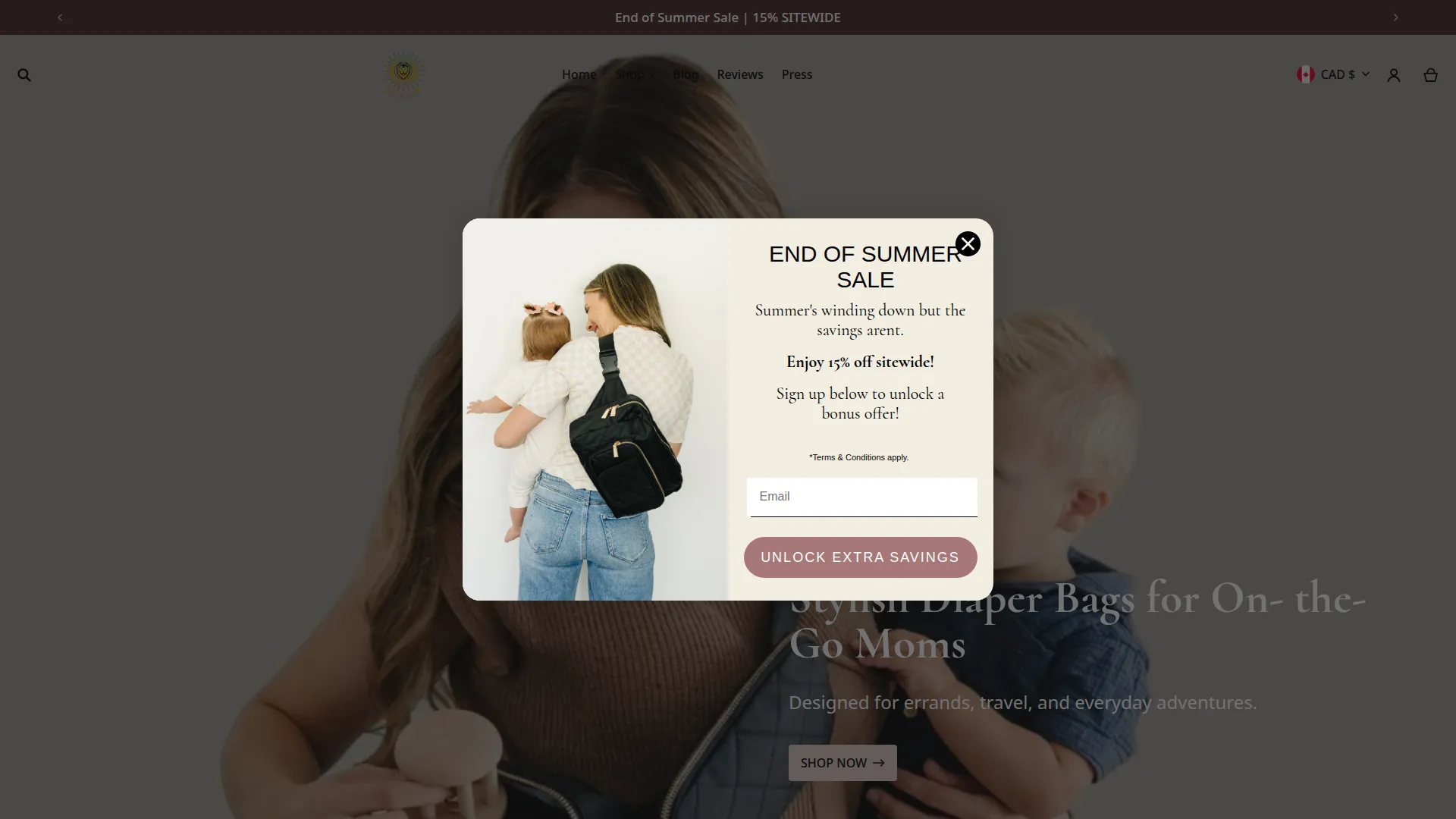 Shoplionandlight.com