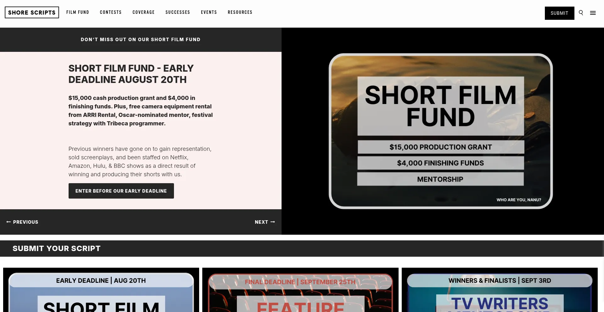 Website screenshot of Shorescripts.com