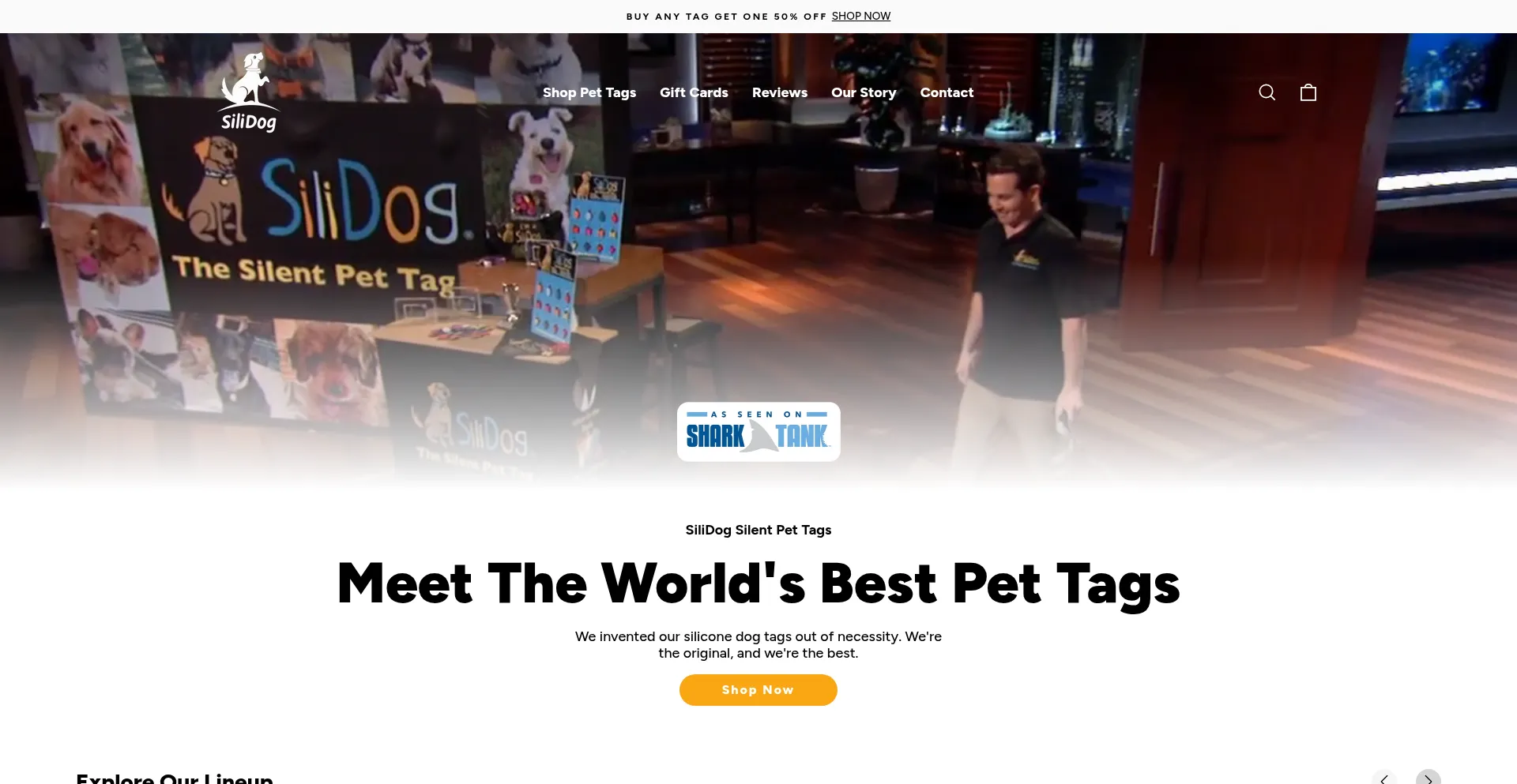 Website screenshot of Silidog.com