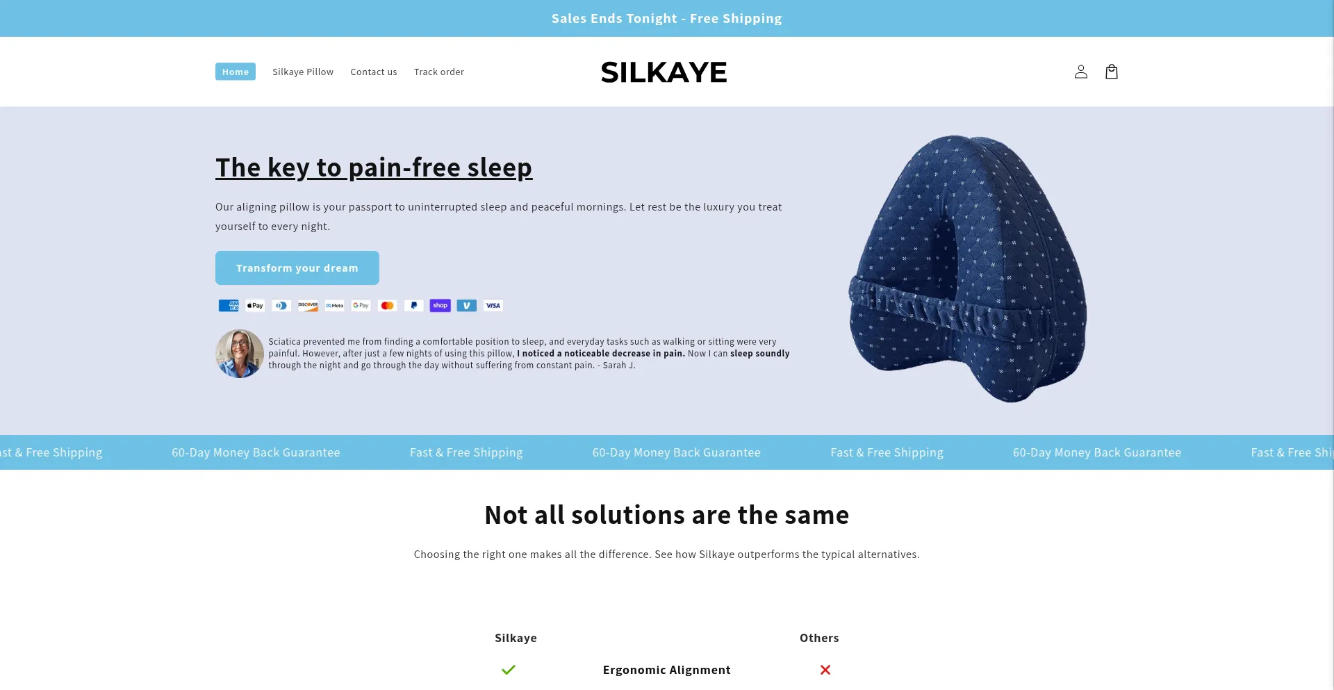 Website screenshot of Silkaye.com