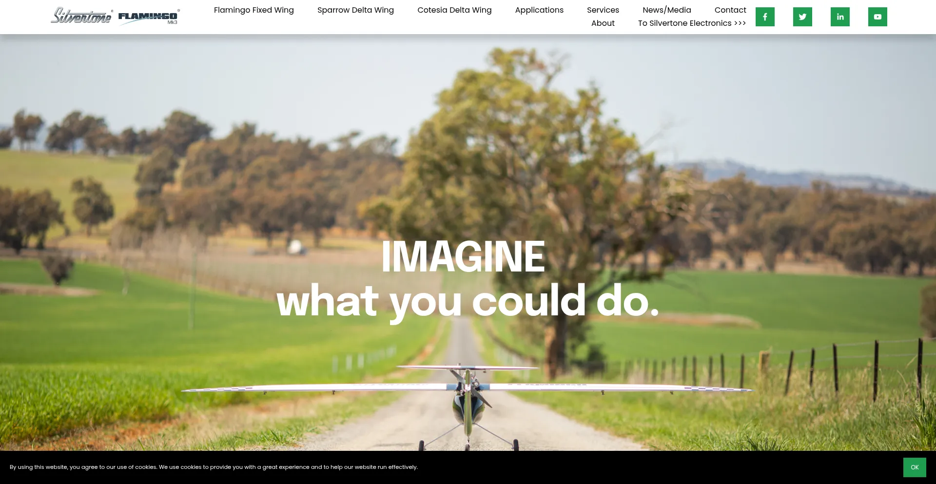 Website screenshot of Silvertone.com.au