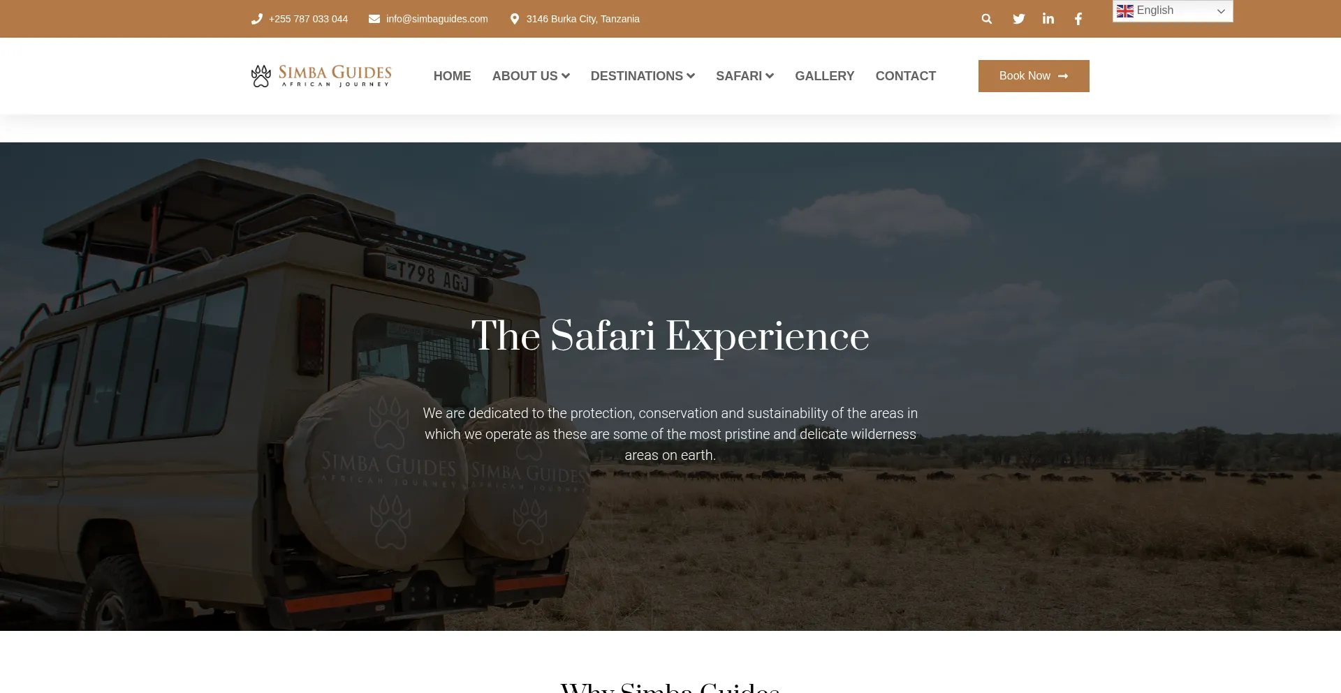 Simbaguides.com Screenshot