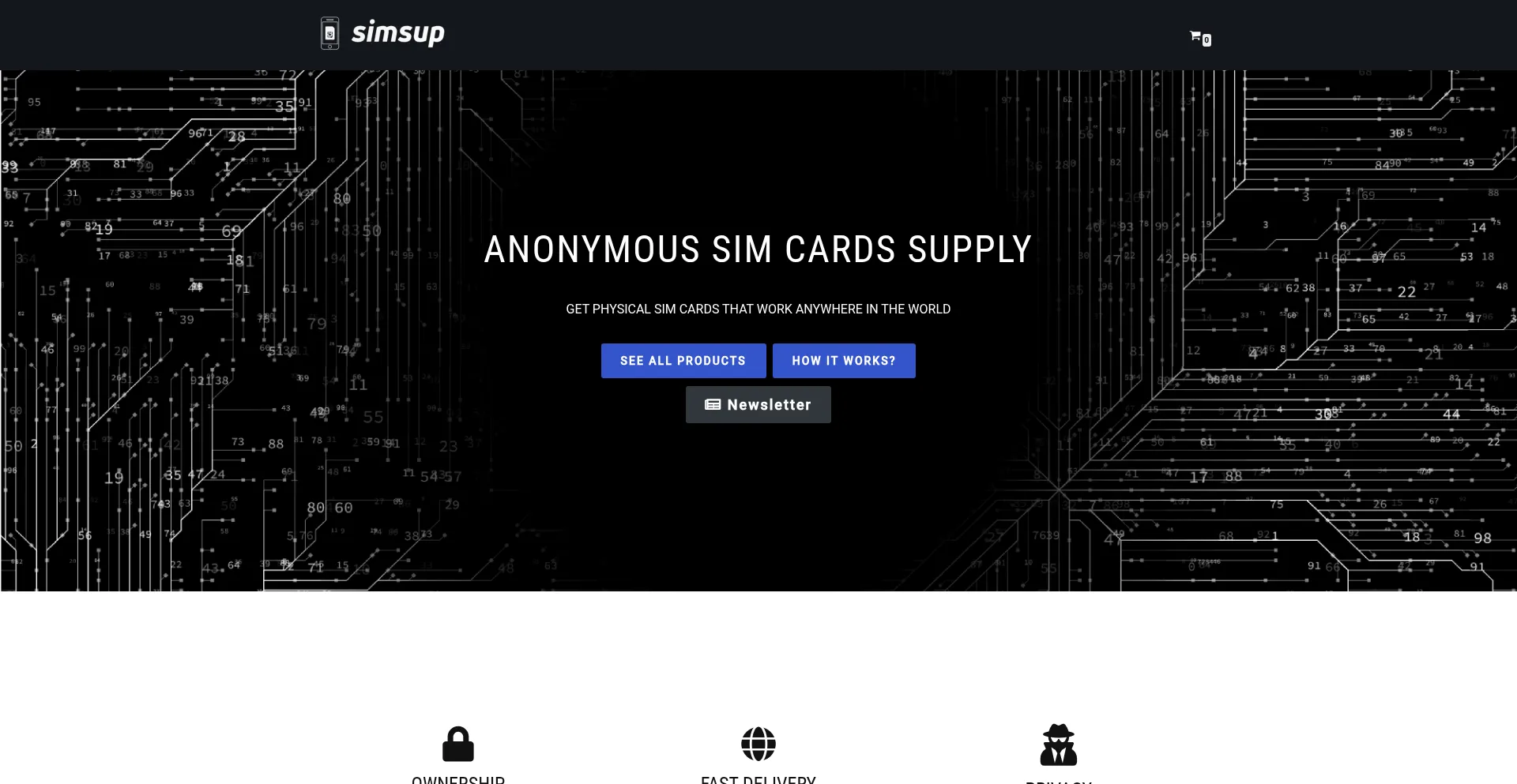 Website screenshot of Simsup.net