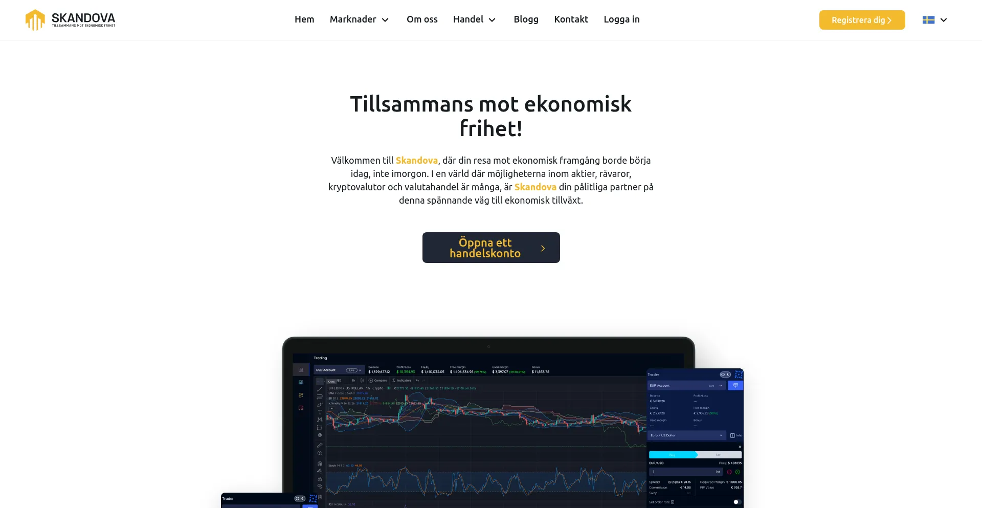 Website screenshot of Skandova.pro