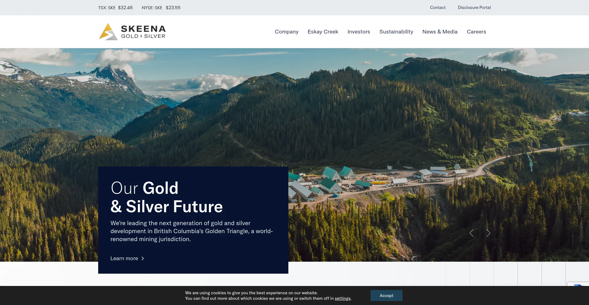 Skeenagoldsilver.com