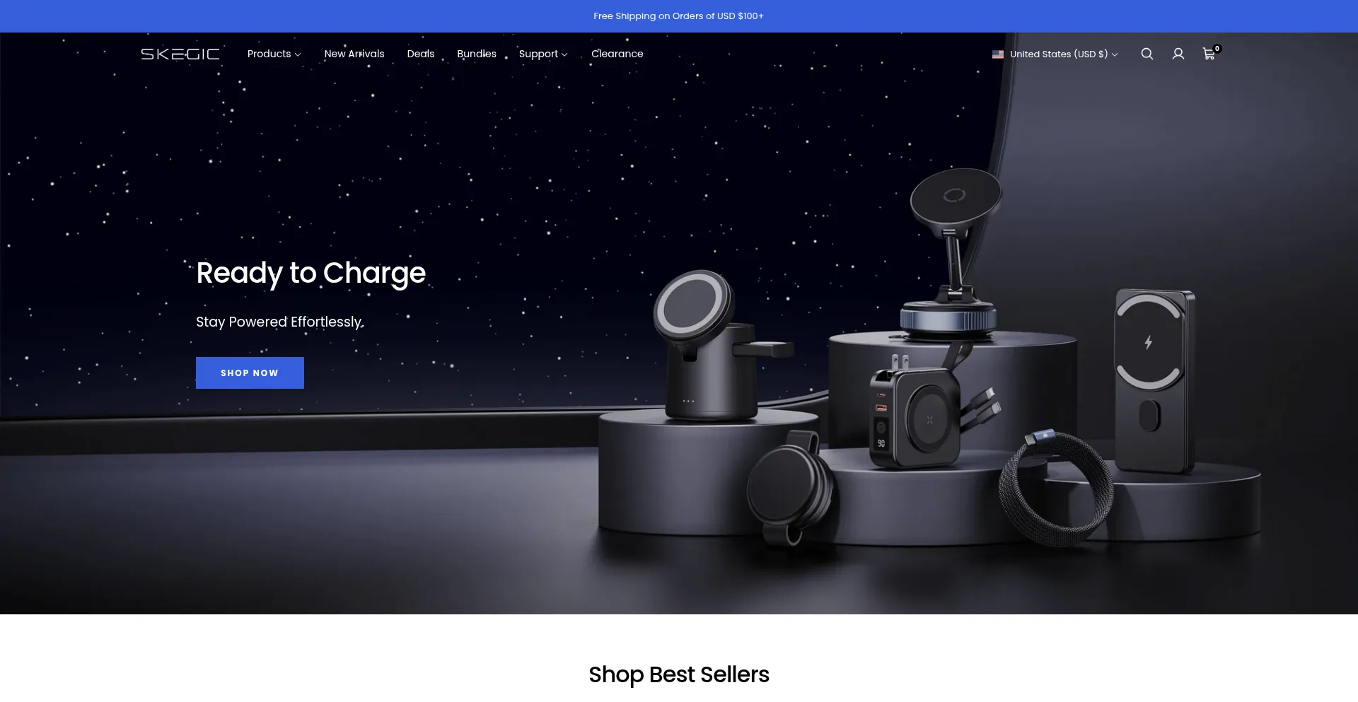 Website screenshot of Skegic.com