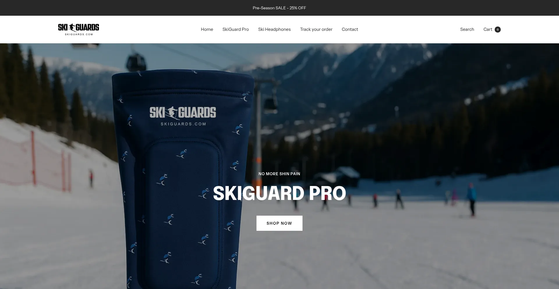Website screenshot of Skiguards.com