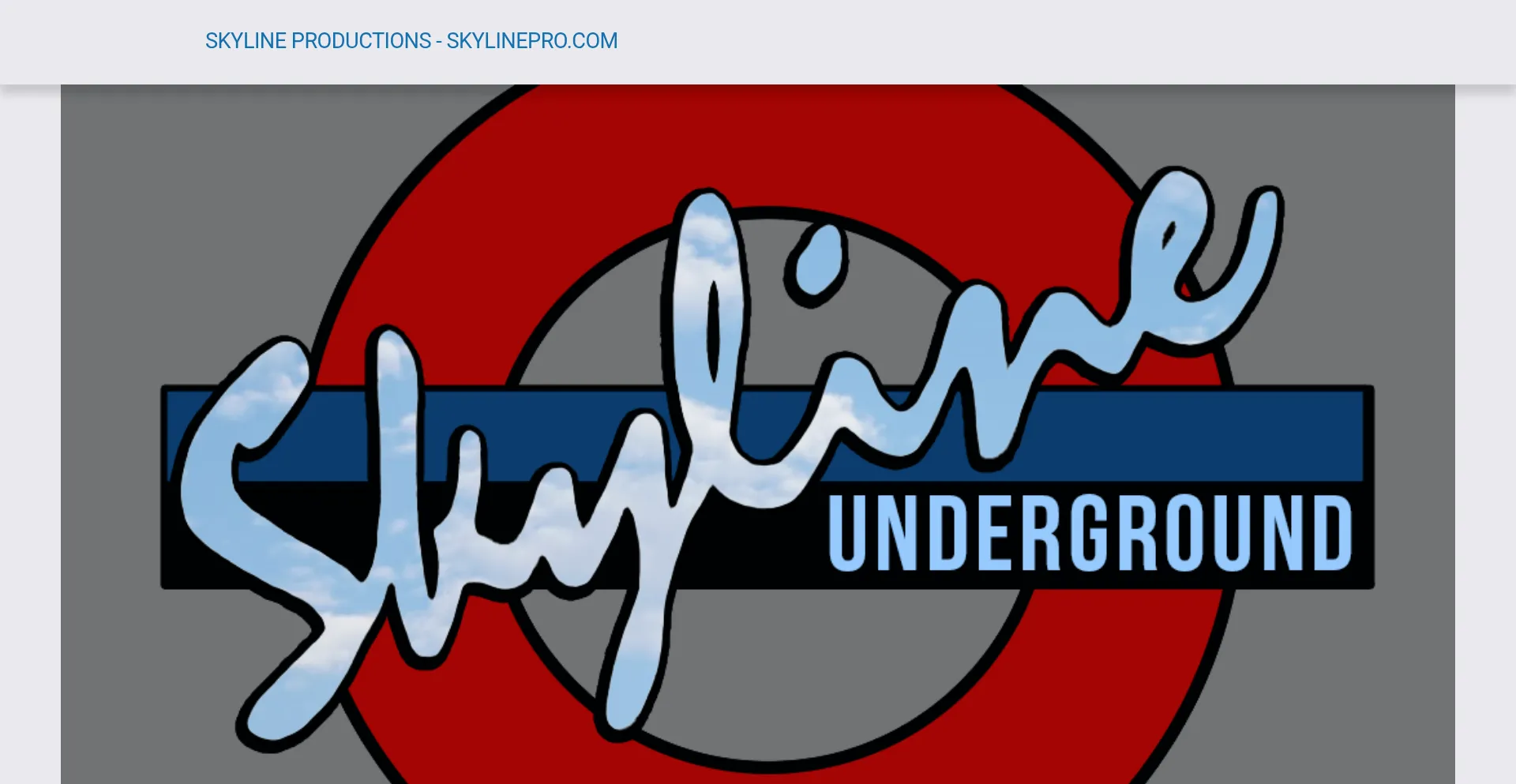 Website screenshot of Skylinepro.com