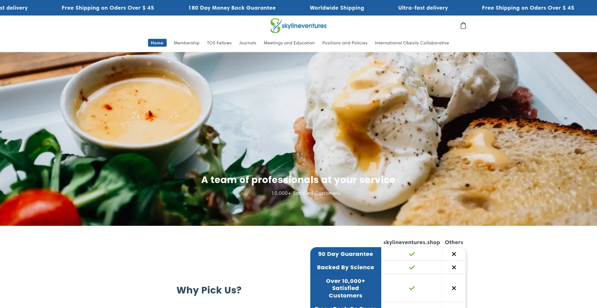 Website screenshot of Skylineventures.shop