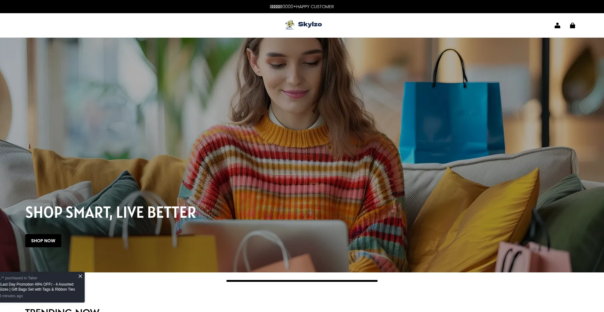 Skylzo.com Screenshot