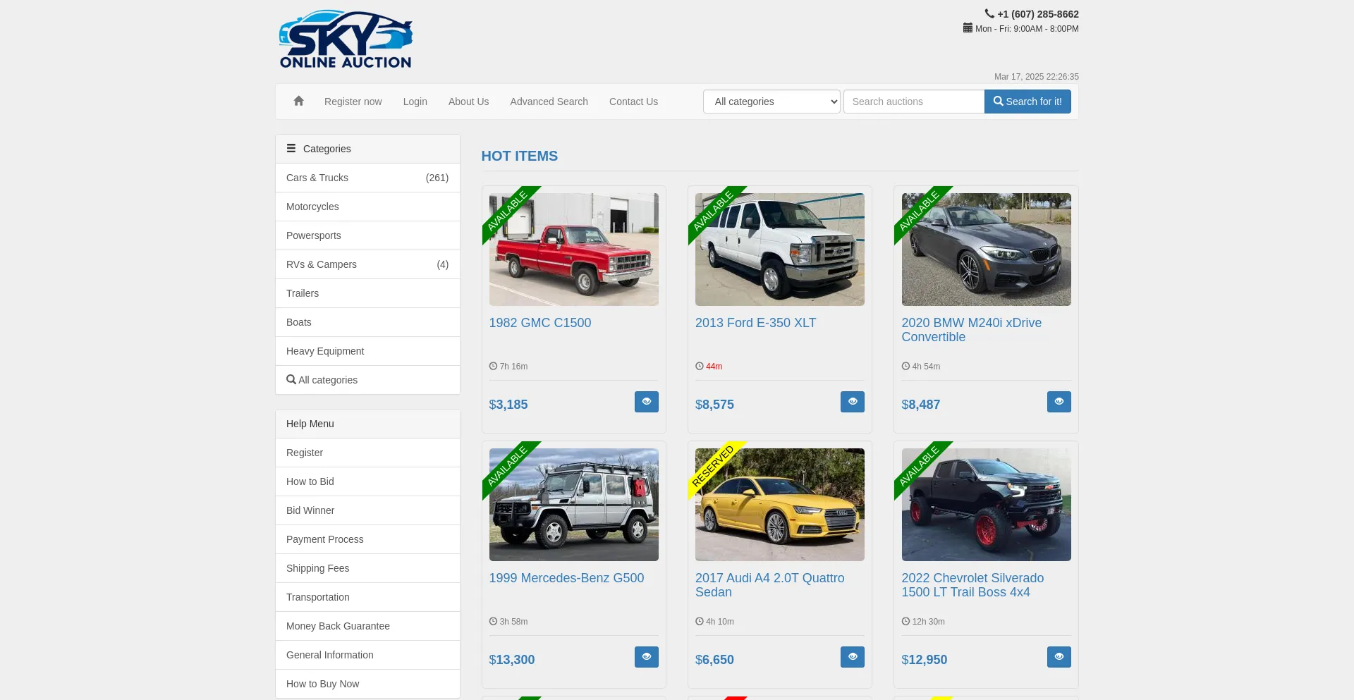 Website screenshot of Skyonlineauction.com