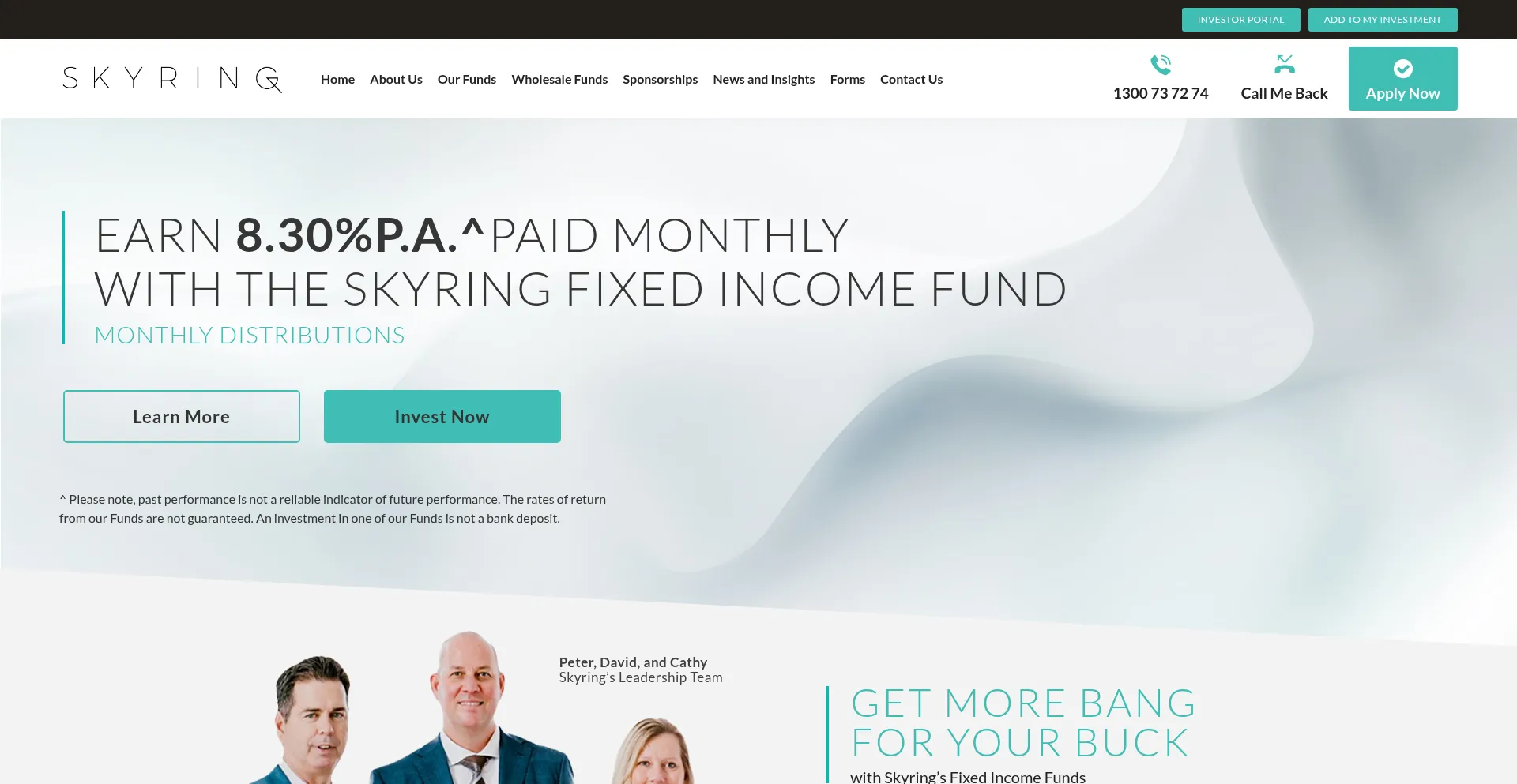 Website screenshot of Skyring.com.au