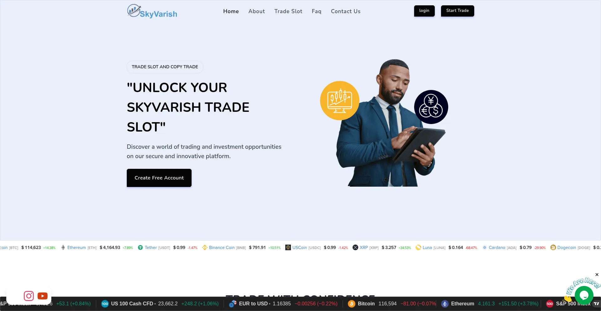 Website screenshot of Skyvarish.com