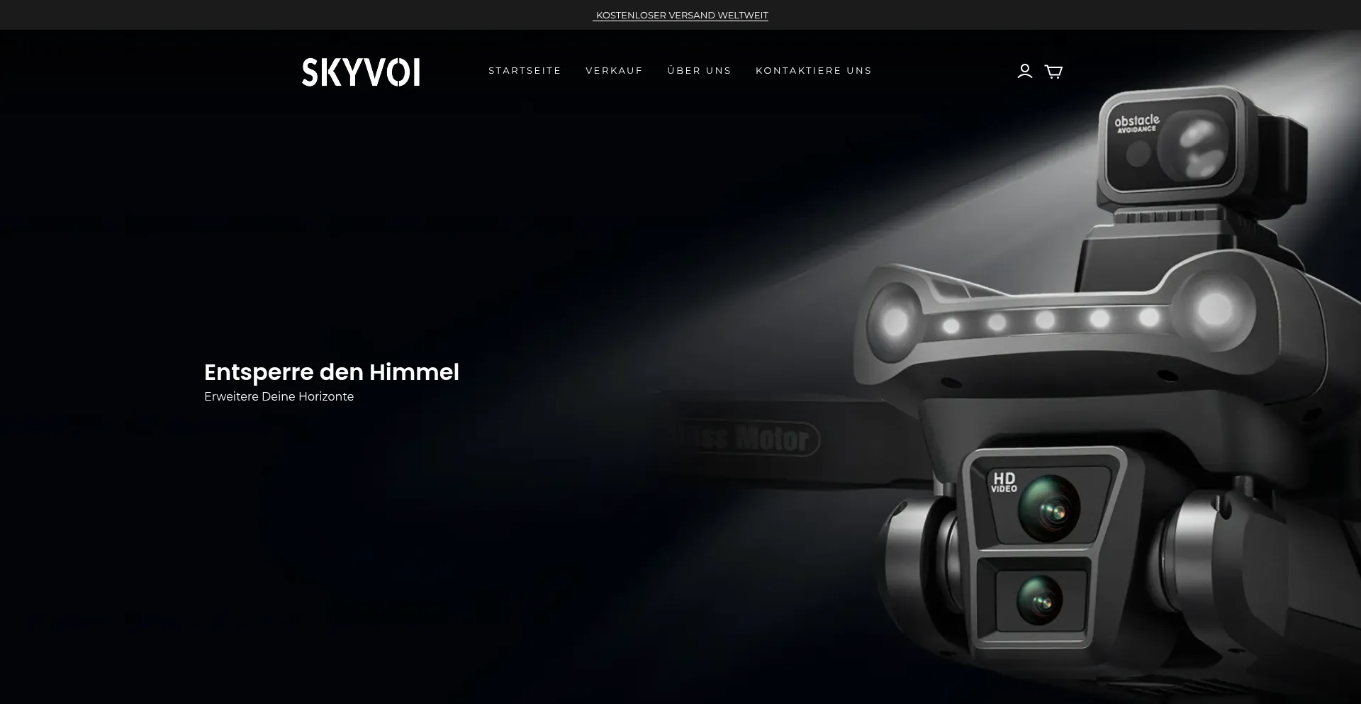 Website screenshot of Skyvoi-de.com