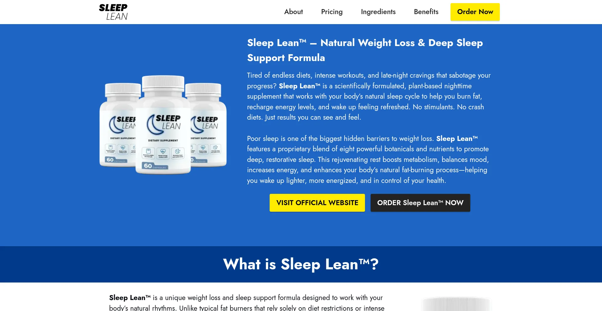 Website screenshot of Sliplien.com