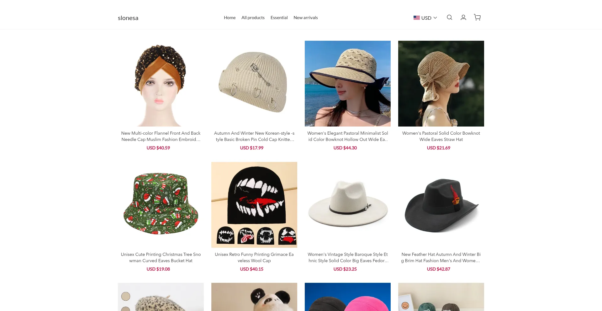 Website screenshot of Slonesa.com