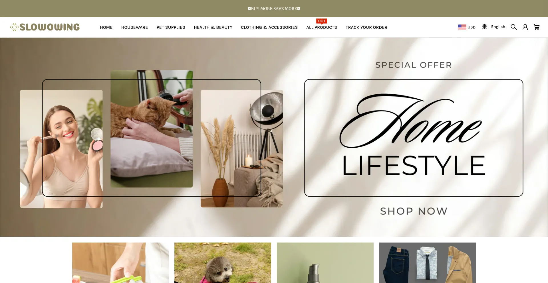 Website screenshot of Slowowing.com