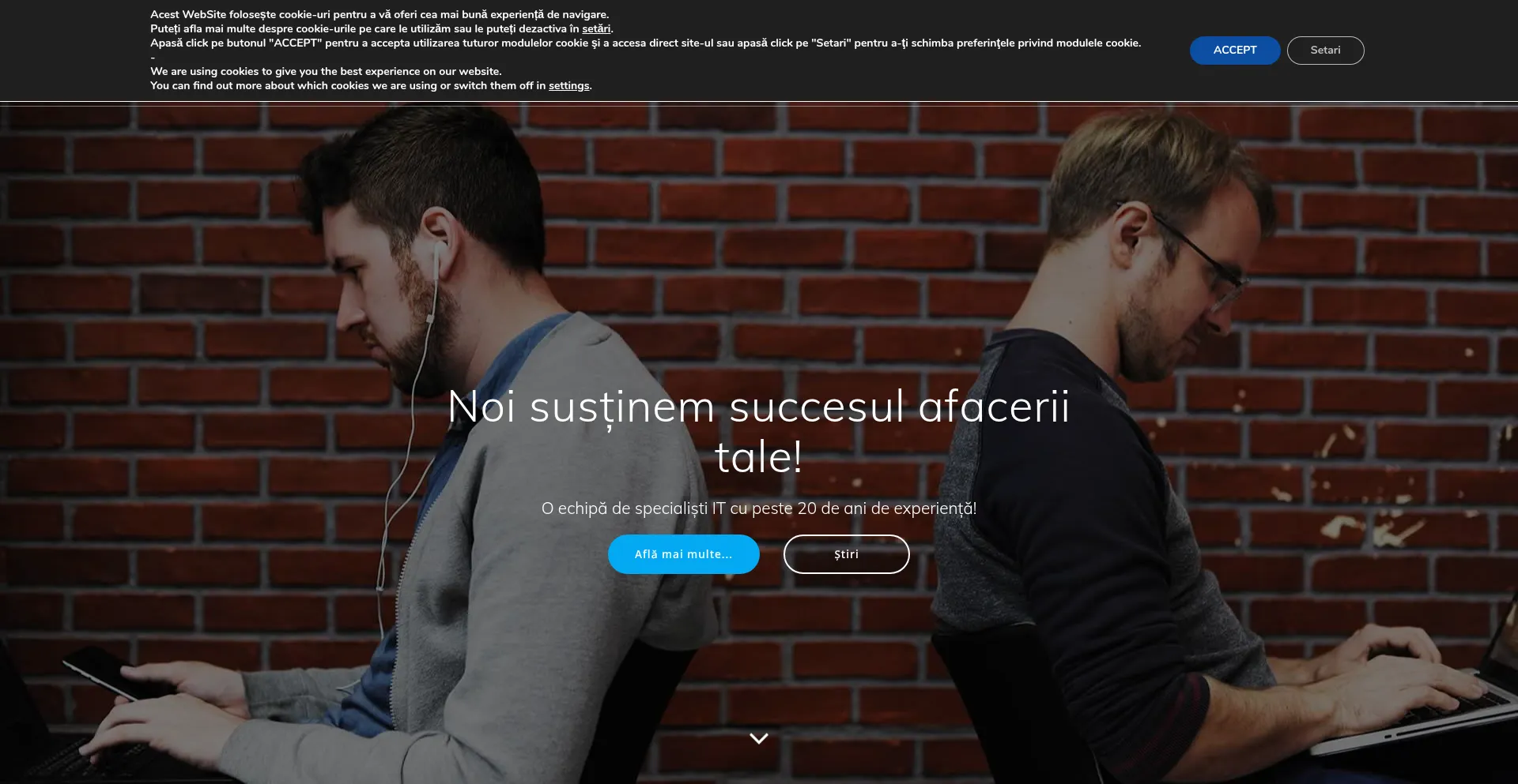 Website screenshot of Smartaxis.ro