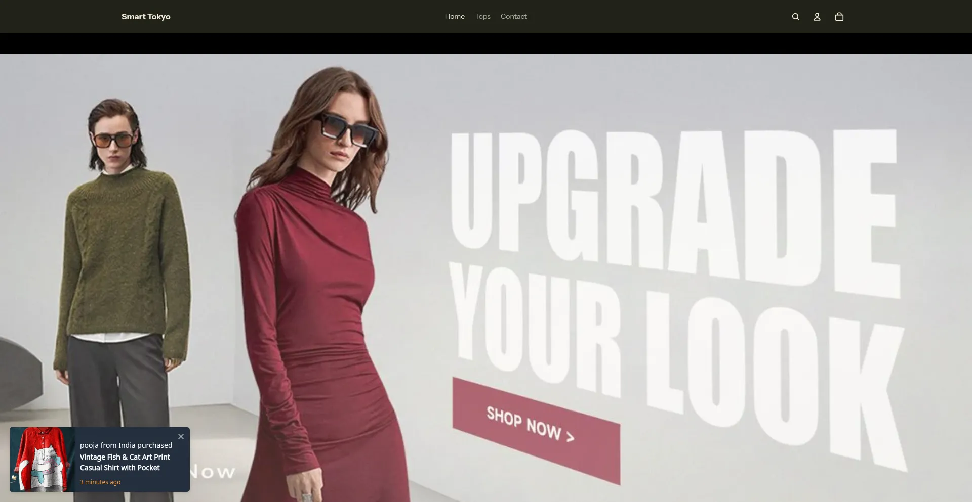 Website screenshot of Smartokyo.store