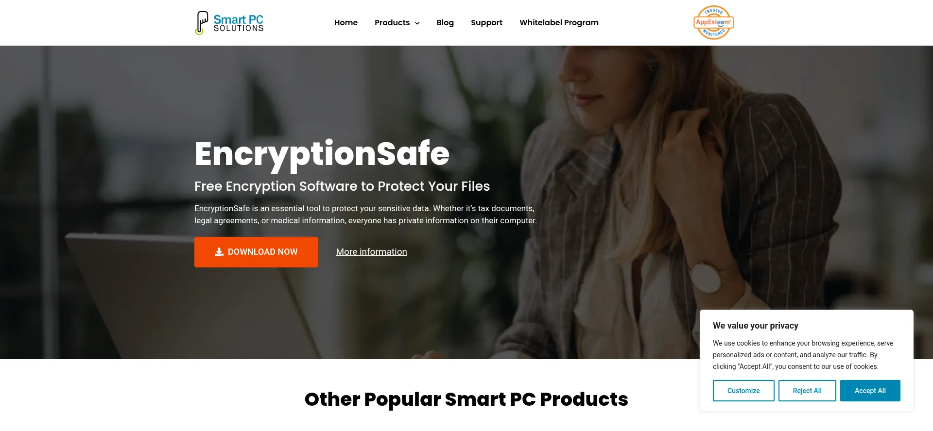 Website screenshot of Smartpctools.com