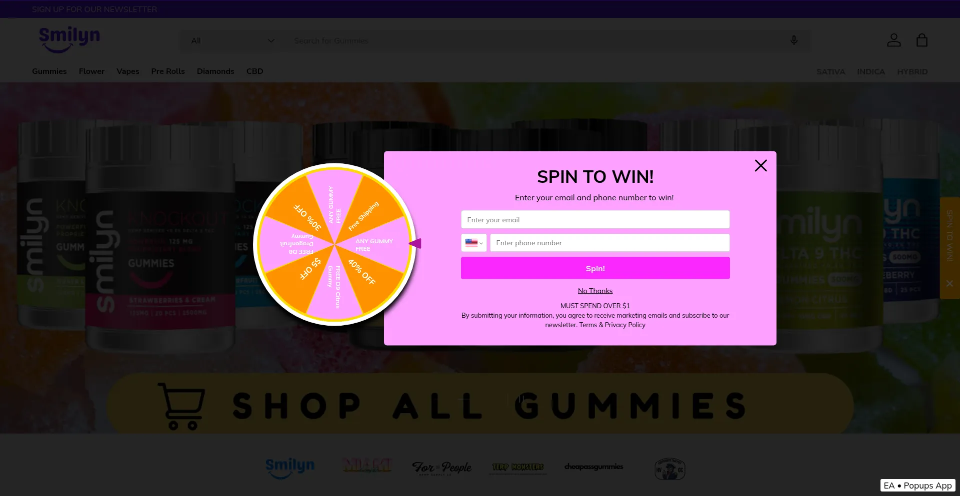 Smilynwellness.com Screenshot