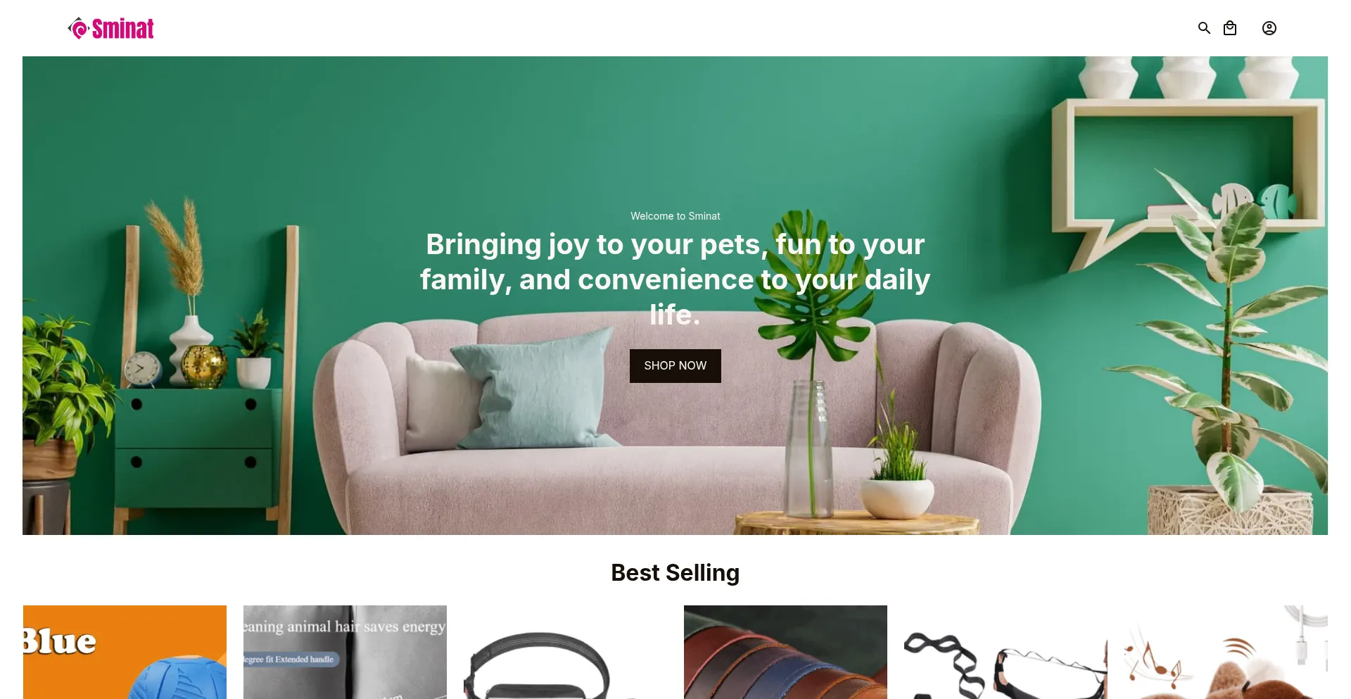 Website screenshot of Sminat.com