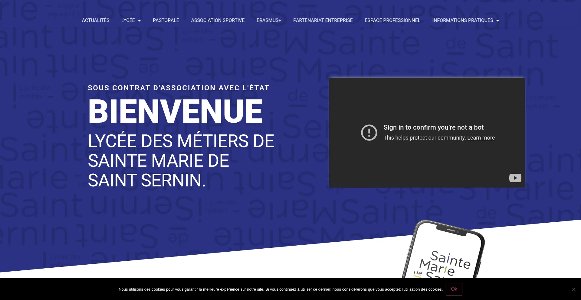 Website screenshot of Smss.fr