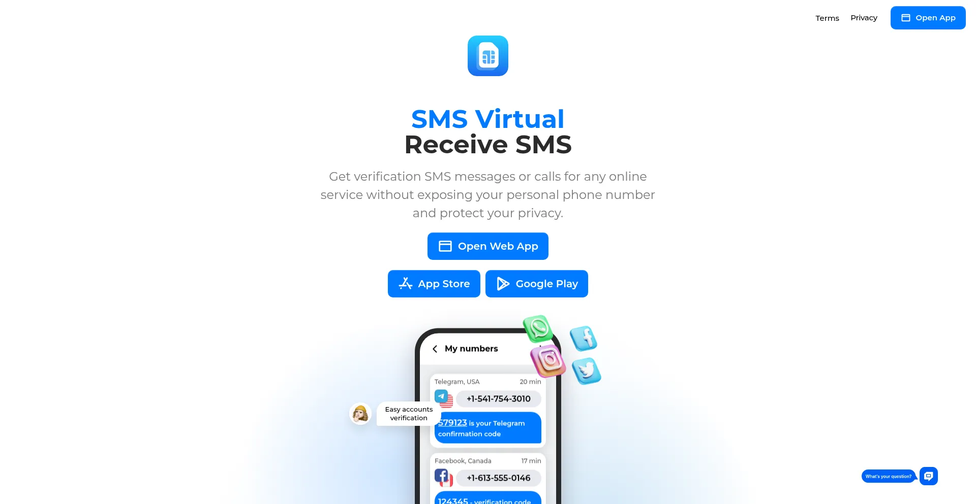 Website screenshot of Smsvirtual.org
