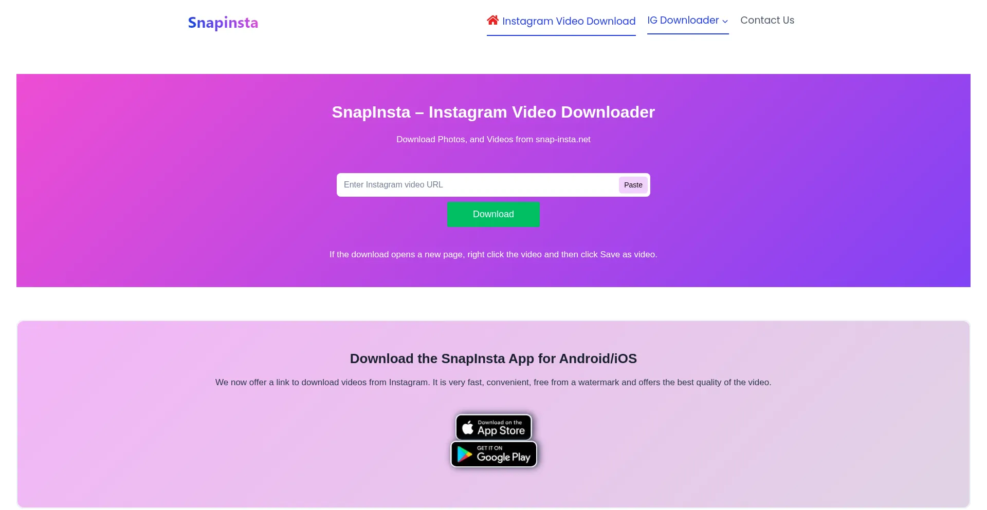 Snap-insta.net Screenshot