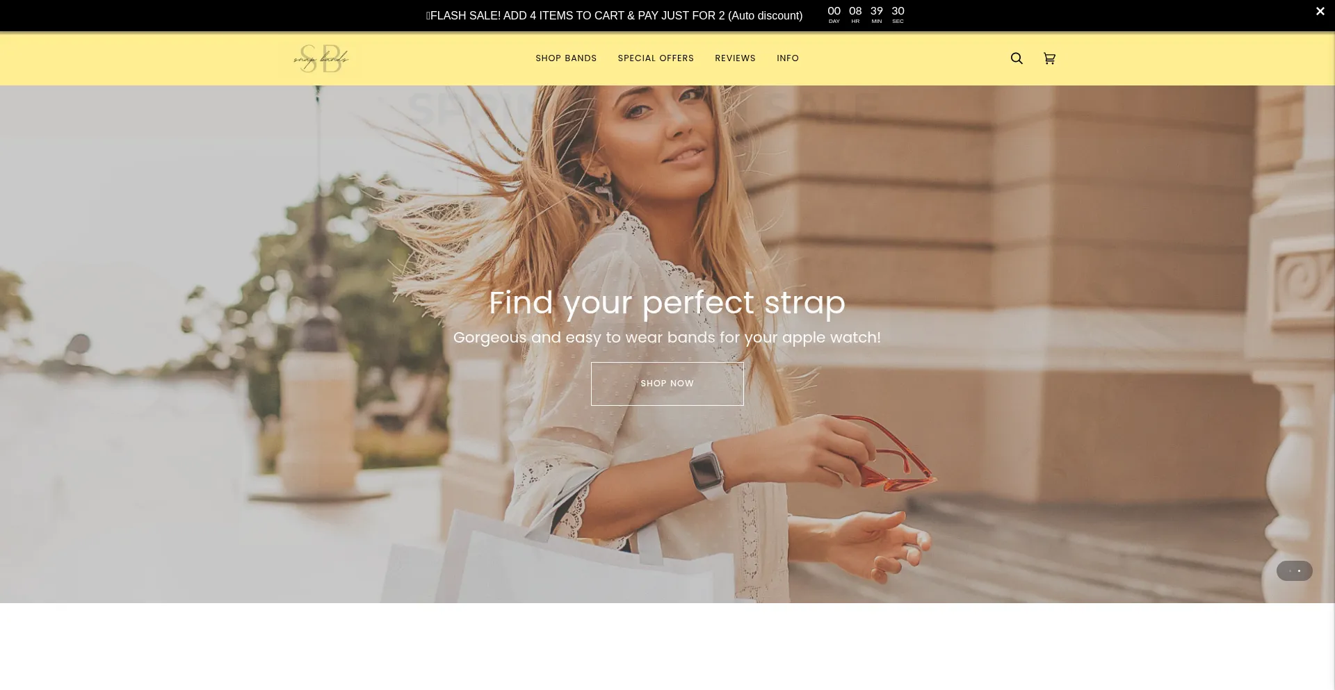 Website screenshot of Snapbands.co