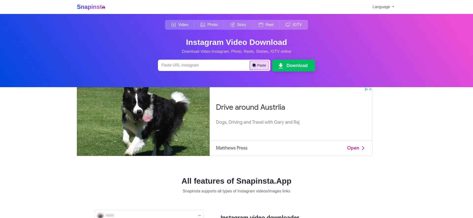 Website screenshot of Snapinst.app