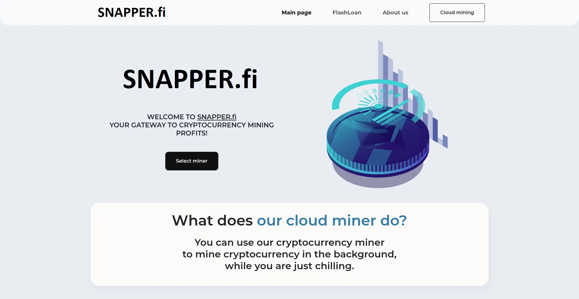 Website screenshot of Snapper.fi