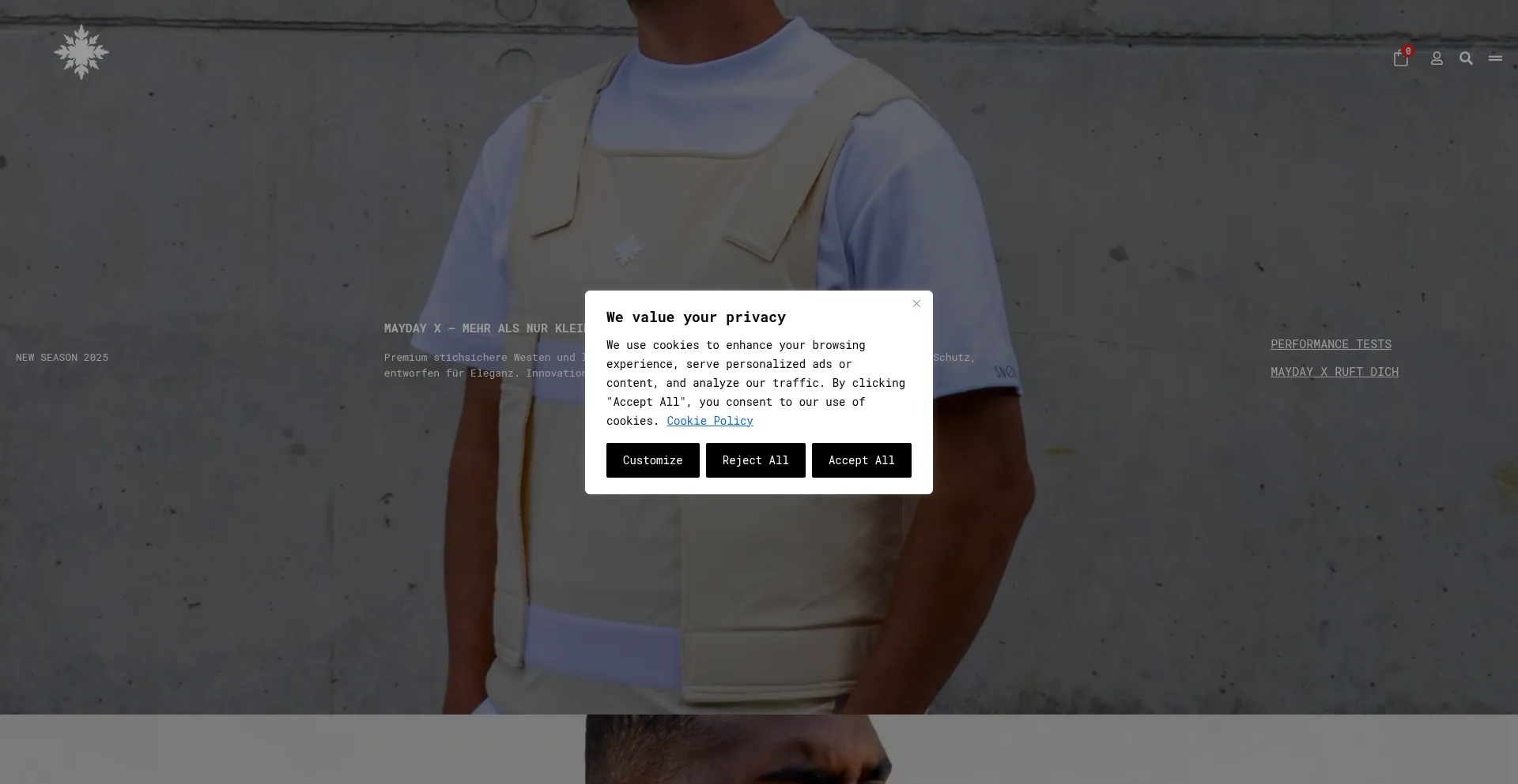 Website screenshot of Snovit.store