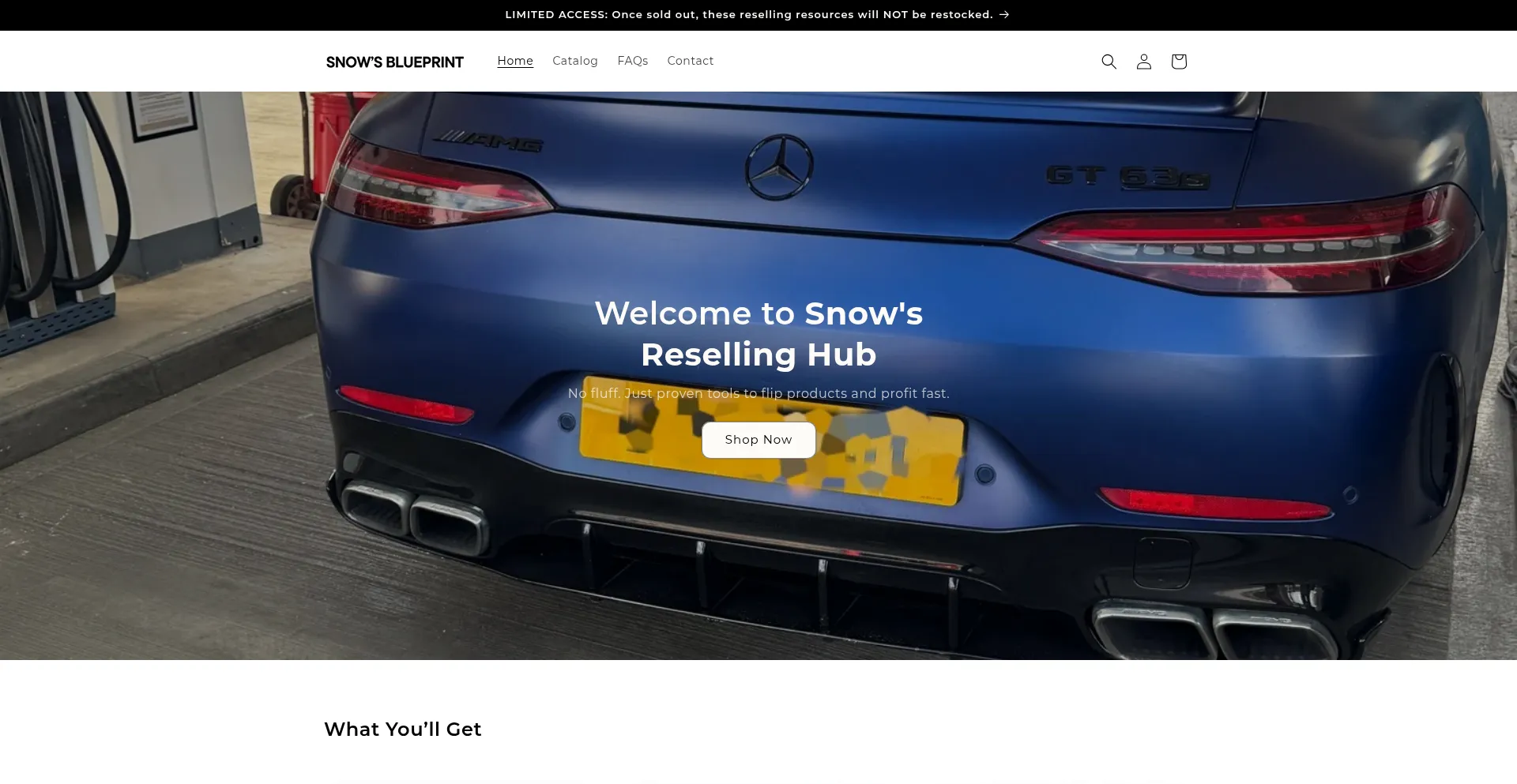 Website screenshot of Snowsblueprint.com