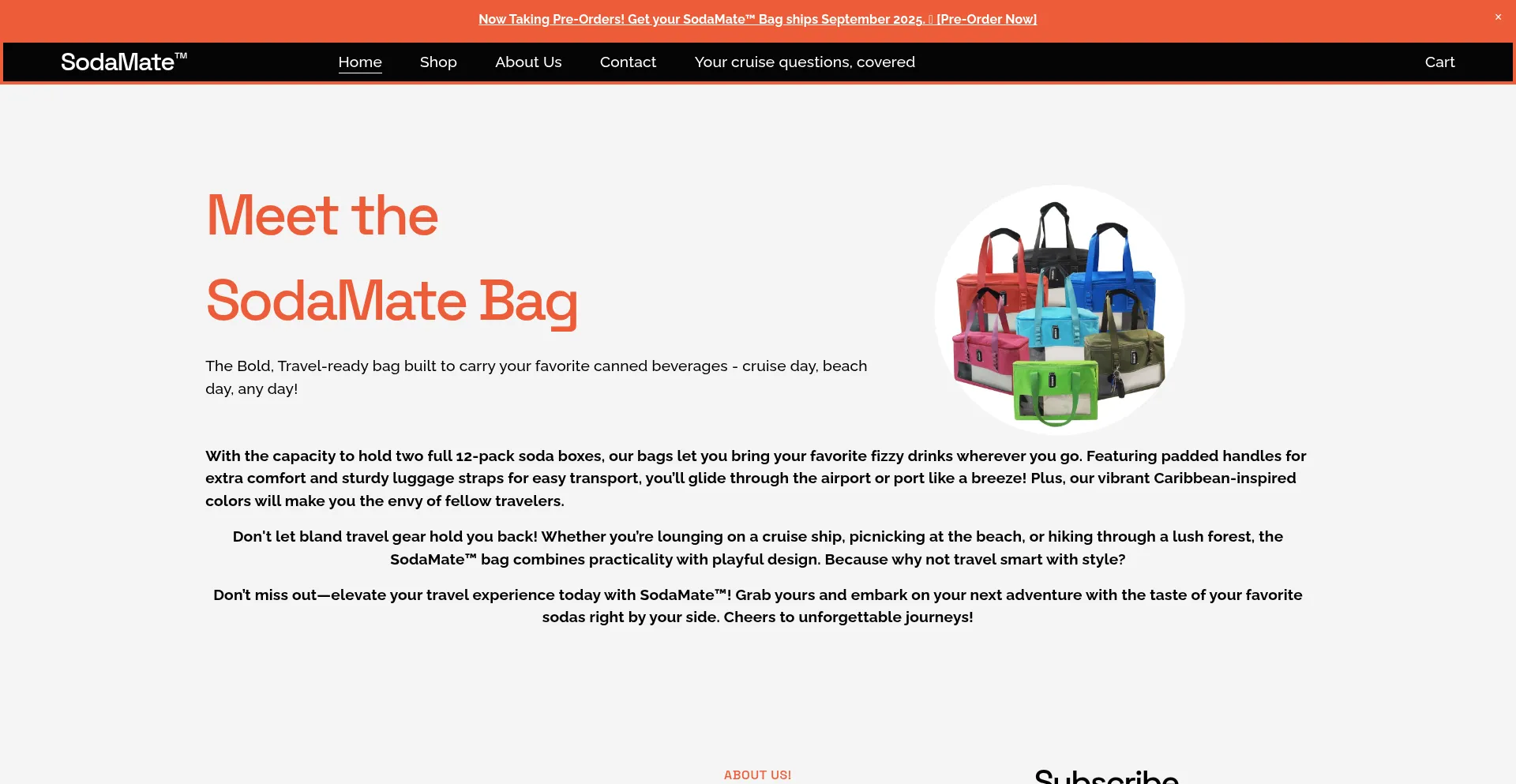 Is Sodamatebag.com Safe?