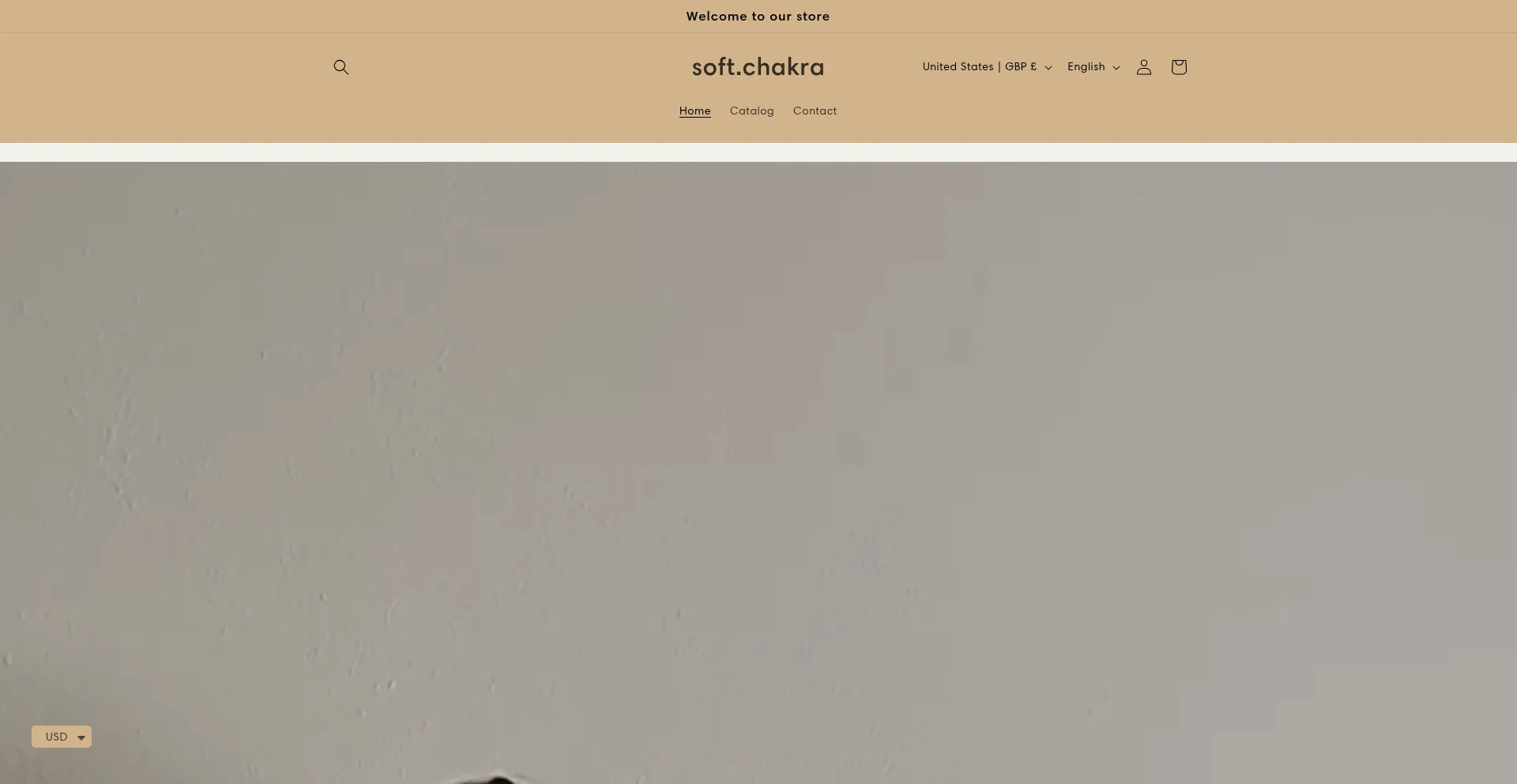 Website screenshot of Softchakra.com