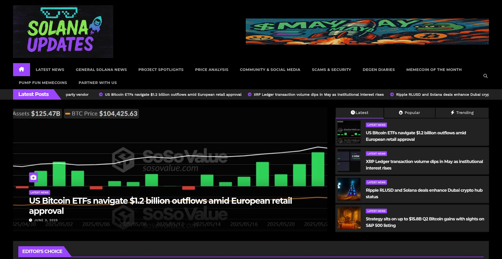 Website screenshot of Solanaupdates.com