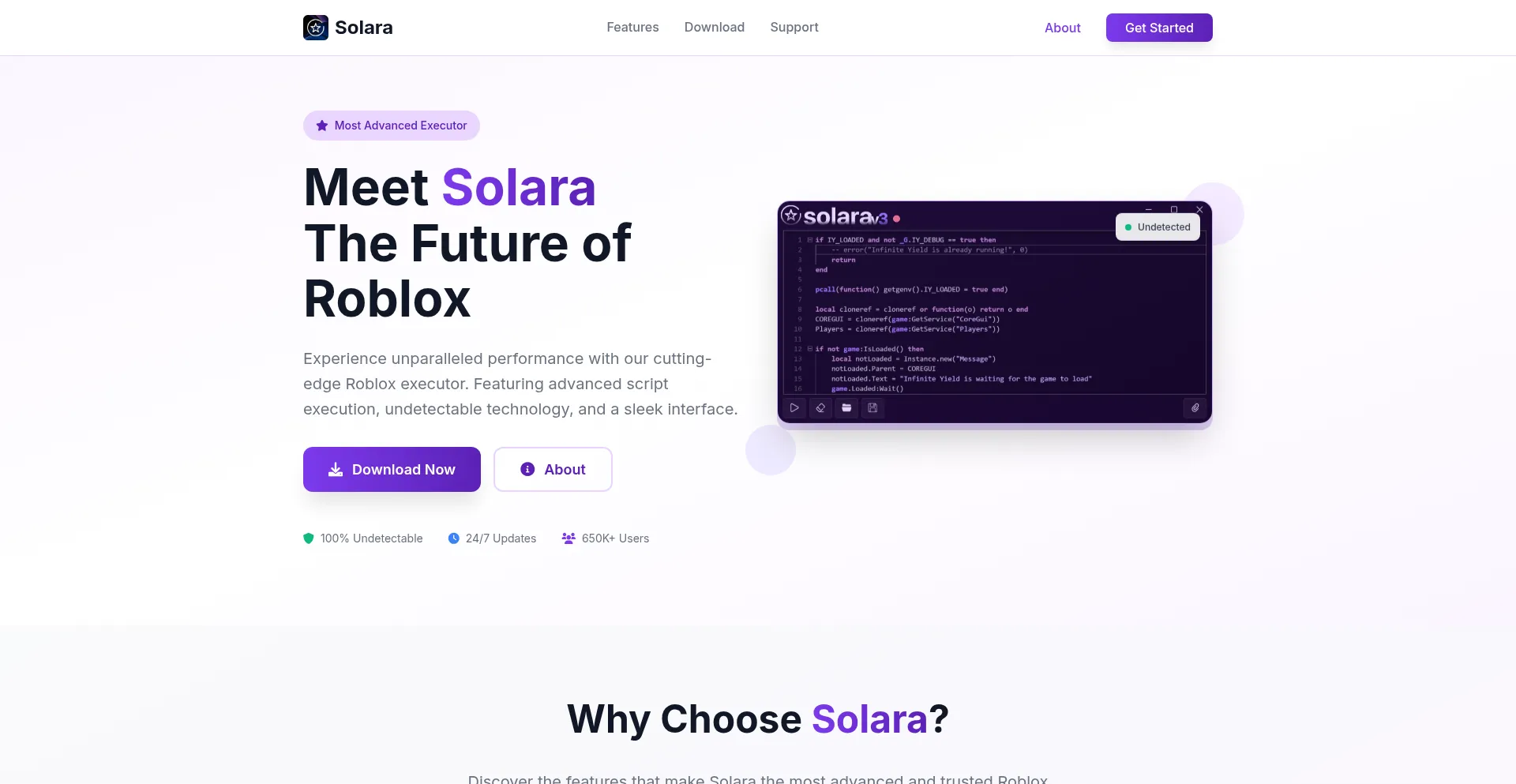Website screenshot of Solarascriptexecutor.com